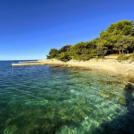 Balthazar * Rovinj