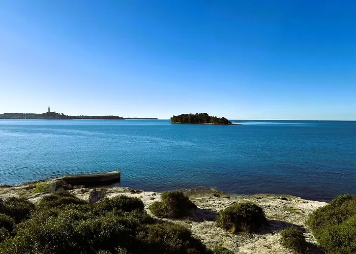 Balthazar * روفينج